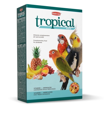Tropical Patee